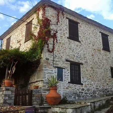 Dimou * Vizitsa