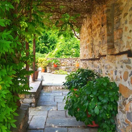 Dimou Guest house Vizitsa
